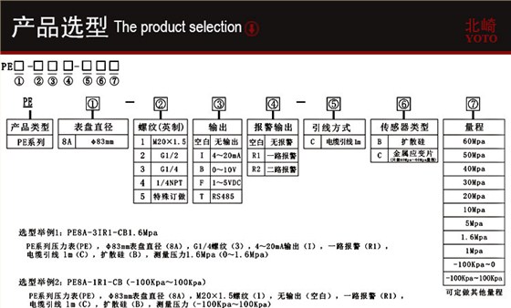 PE8A工业型数显压力表_04